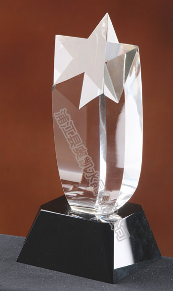 水晶星星獎(jiǎng)杯48
